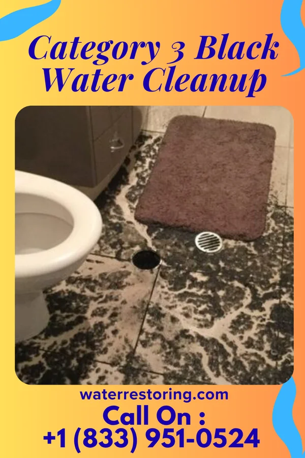 Category 3 Black Water Cleanup in Fairland, IN