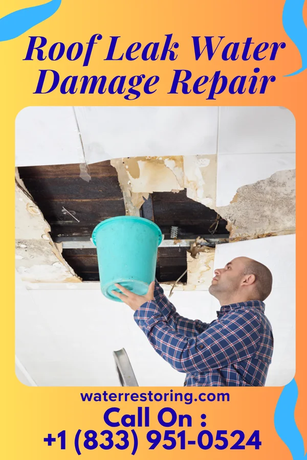 Roof Leak Water Damage Repair in Fairland, IN
